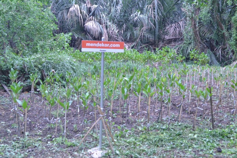 Gambar Monitoring
