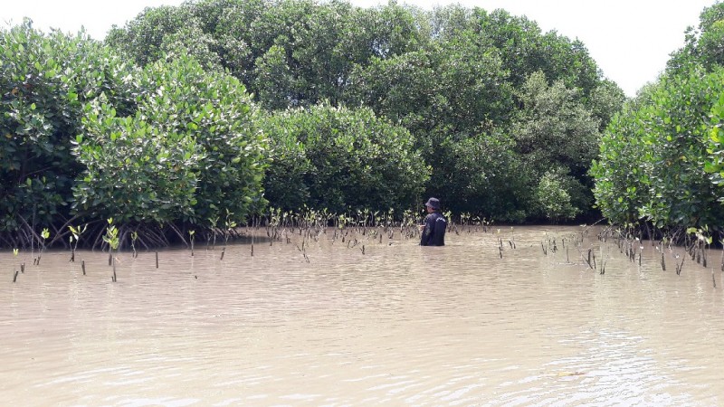 Gambar Monitoring