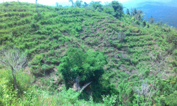 Gambar Monitoring