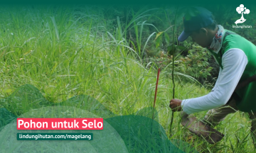Gambar Monitoring