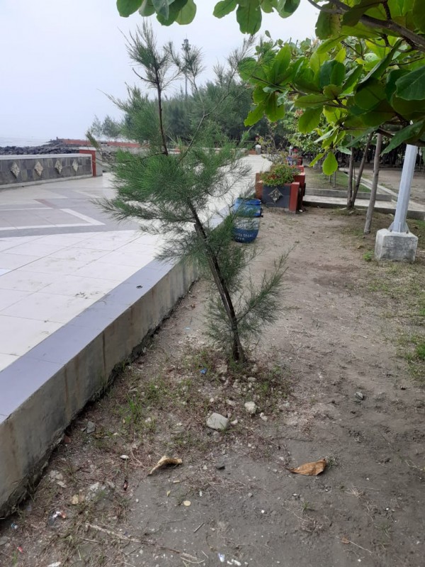 Gambar Monitoring