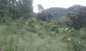 Gambar Monitoring