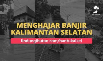 Gambar Monitoring