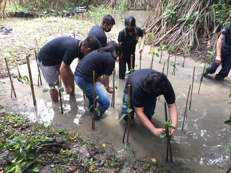 Gambar Monitoring