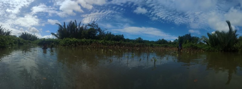 Gambar Monitoring