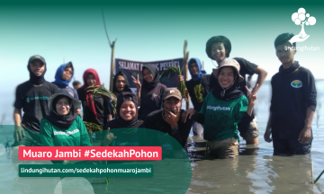 Gambar Monitoring