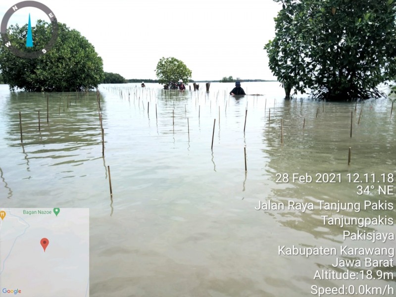 Gambar Monitoring
