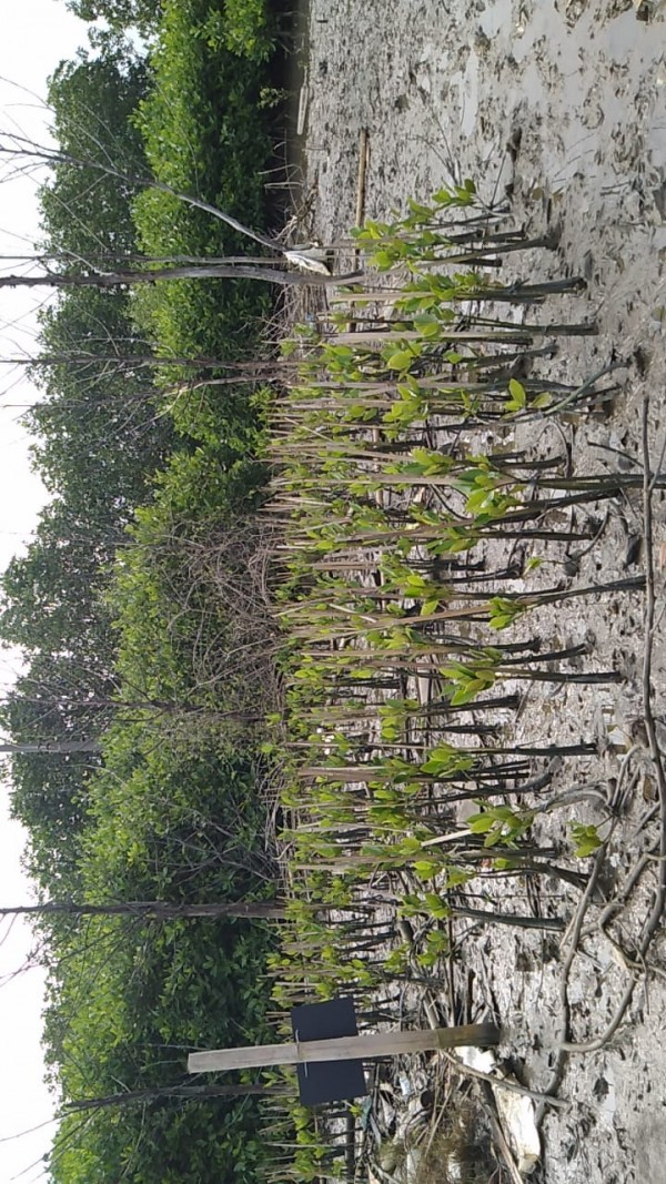 Gambar Monitoring