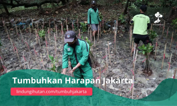 Gambar Monitoring