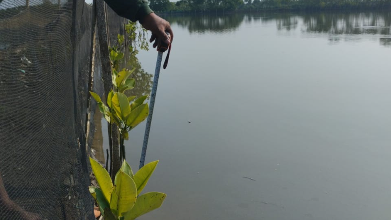 Gambar Monitoring