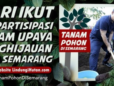 Gambar Monitoring