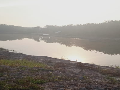 Gambar Monitoring