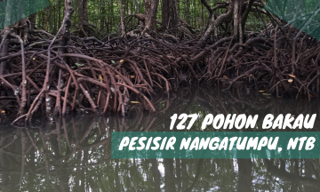 Gambar Monitoring