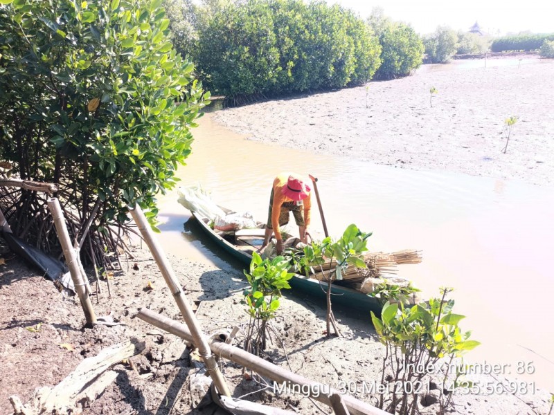 Gambar Monitoring