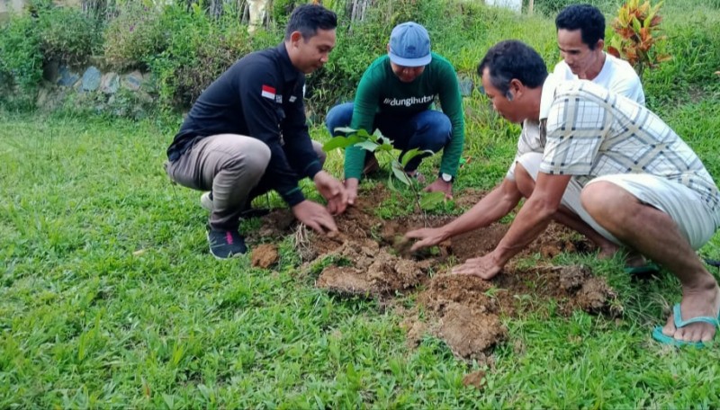 Gambar Monitoring
