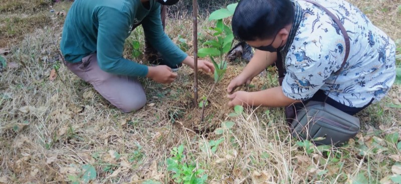 Gambar Monitoring