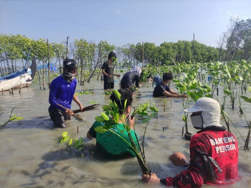 Gambar Monitoring