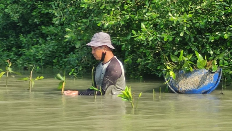 Gambar Monitoring