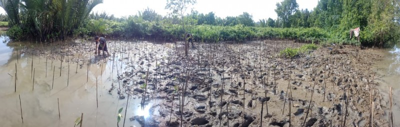 Gambar Monitoring