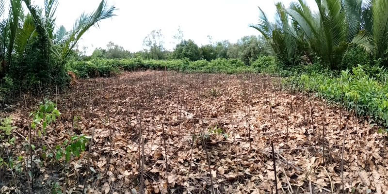 Gambar Monitoring