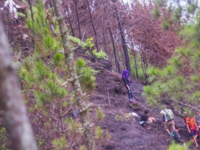 Gambar Monitoring