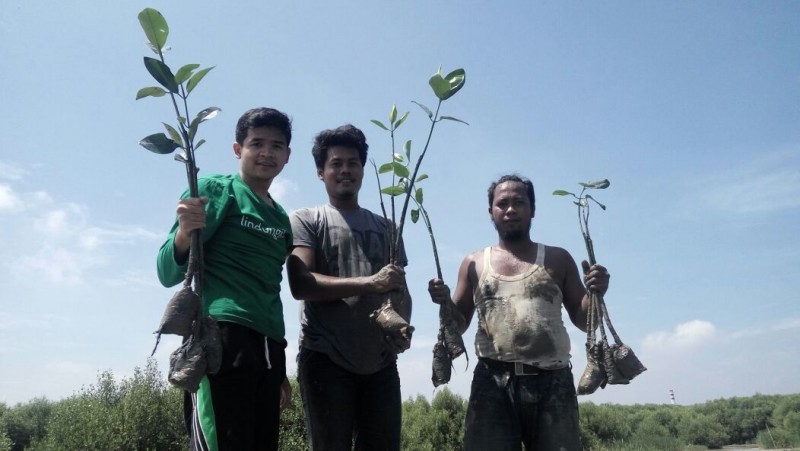 Gambar Monitoring
