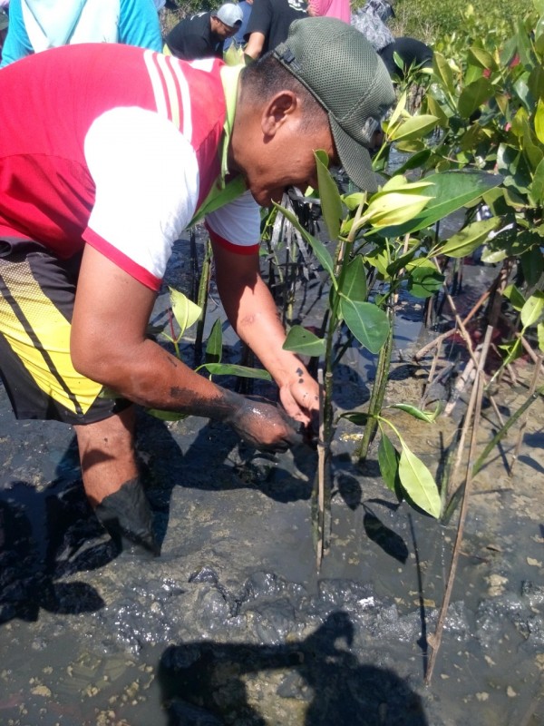 Gambar Monitoring