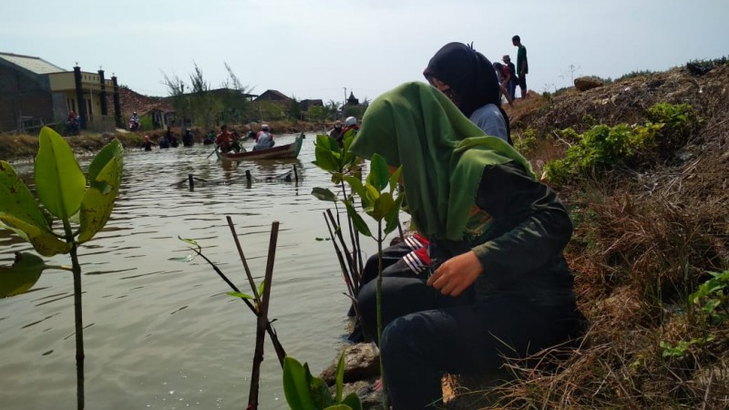 Gambar Monitoring