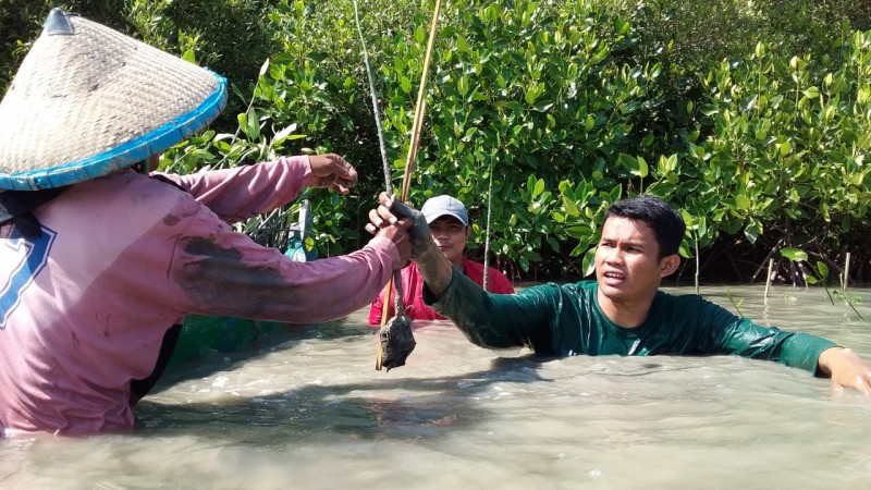 Gambar Monitoring