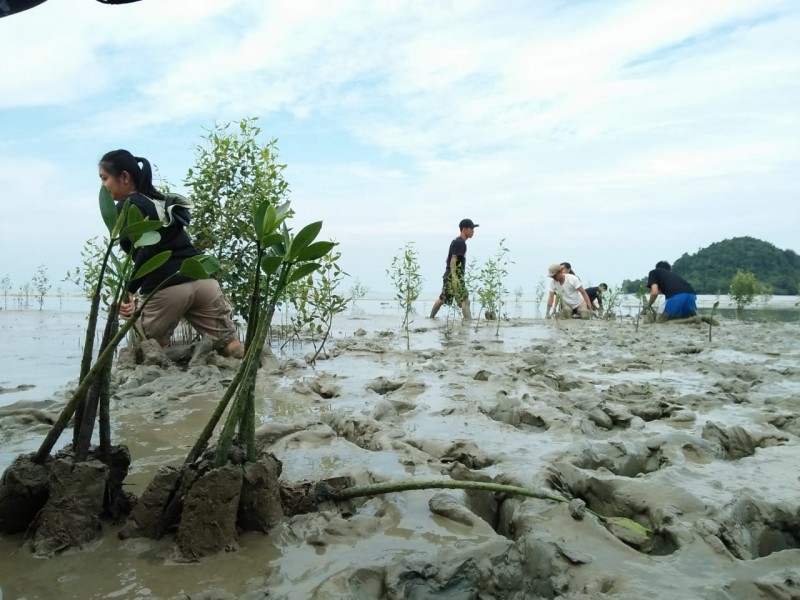 Gambar Monitoring