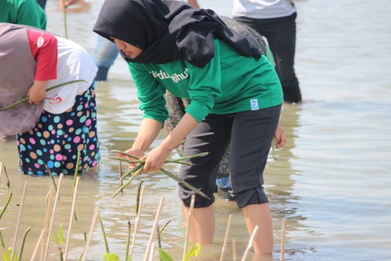 Gambar Monitoring
