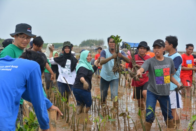 Gambar Monitoring