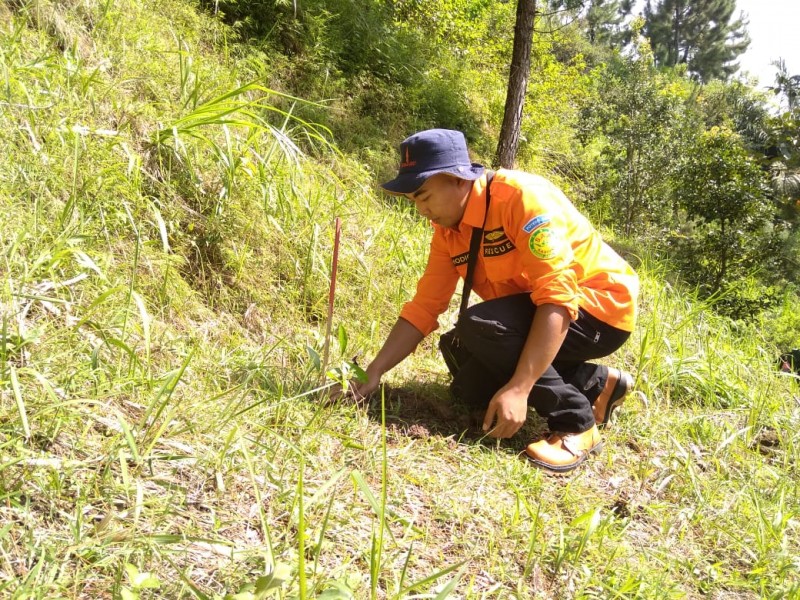 Gambar Monitoring