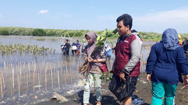 Gambar Monitoring