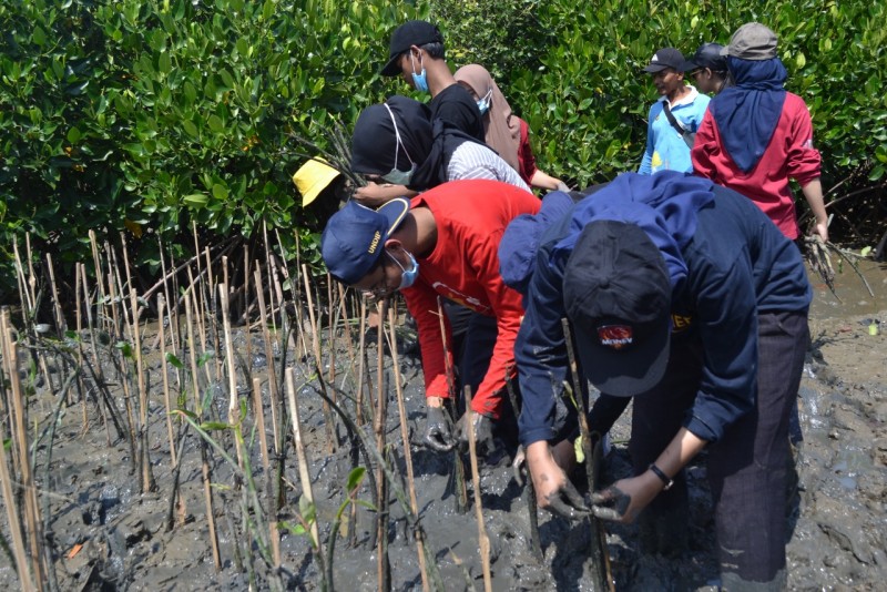 Gambar Monitoring
