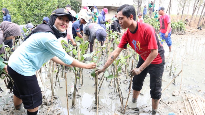 Gambar Monitoring