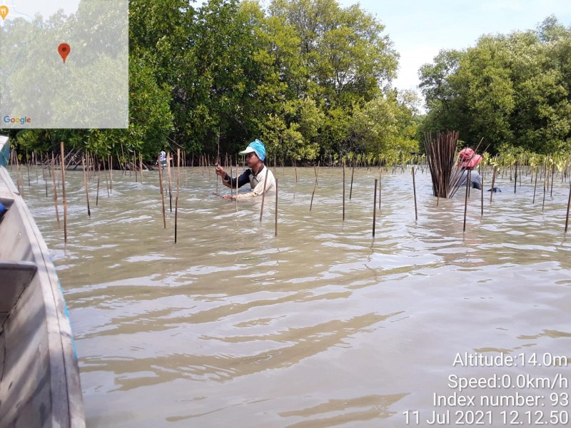 Gambar Monitoring