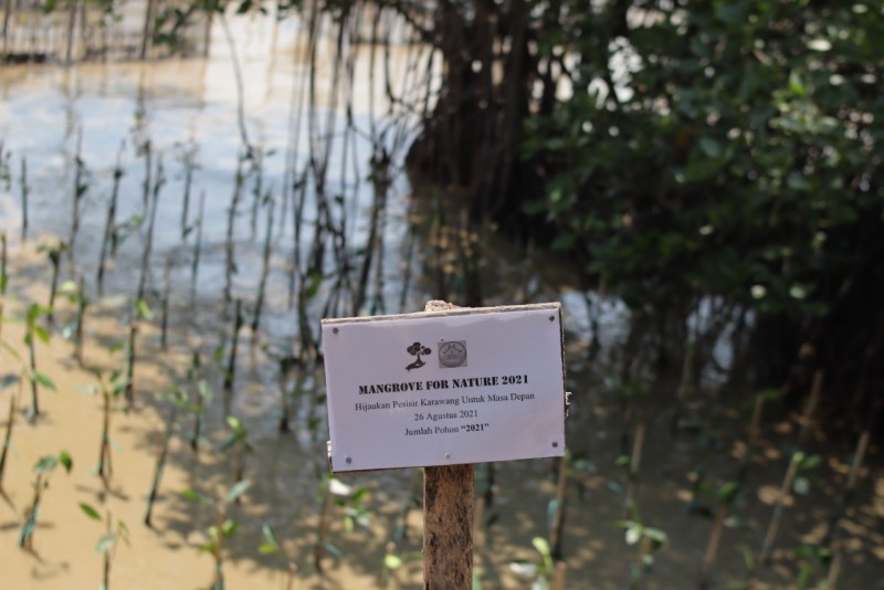Gambar Monitoring