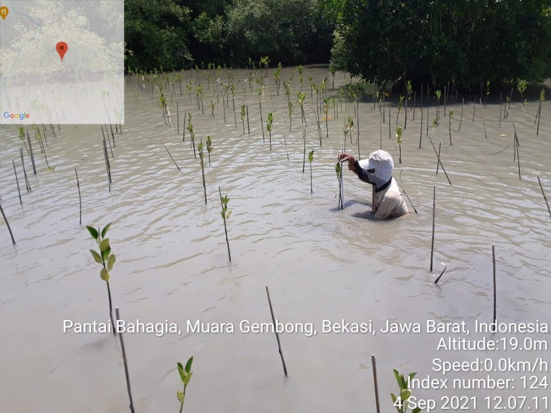 Gambar Monitoring