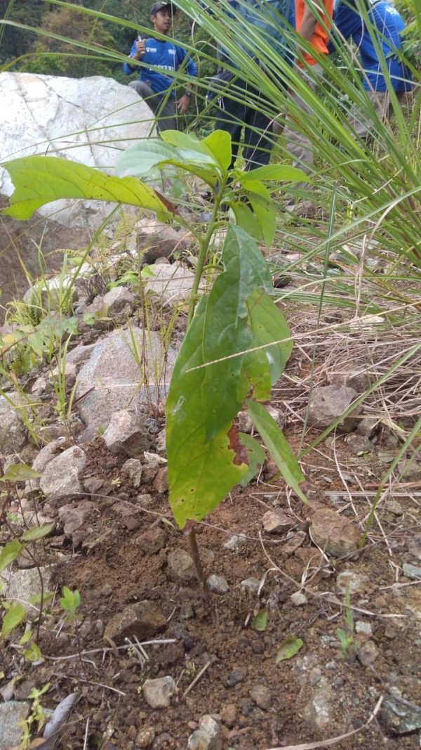 Gambar Monitoring