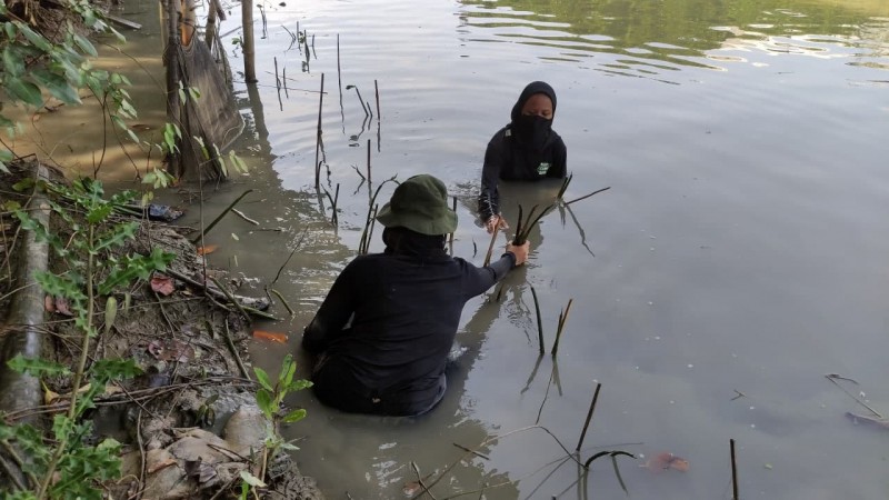 Gambar Monitoring