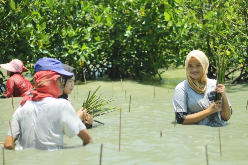 Gambar Monitoring