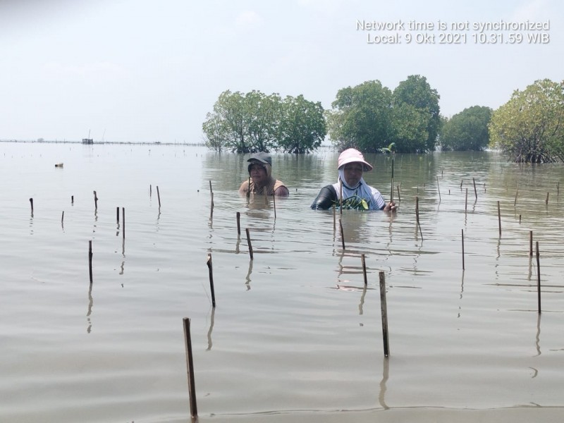 Gambar Monitoring