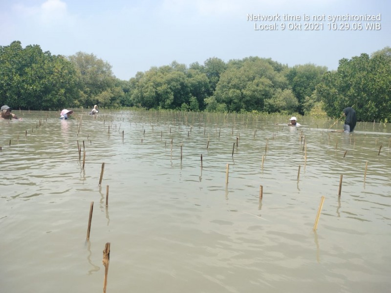 Gambar Monitoring