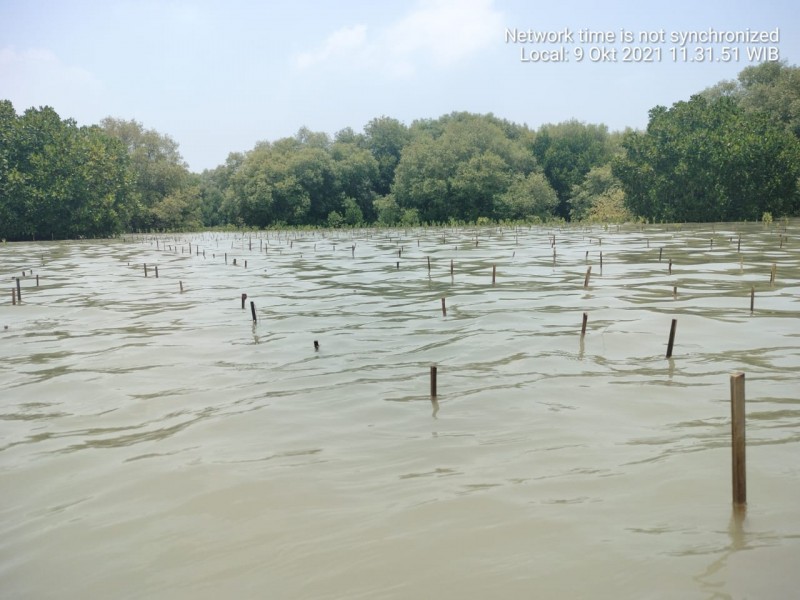 Gambar Monitoring