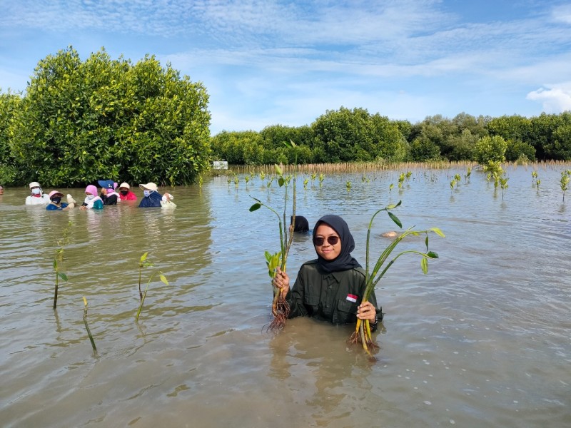 Gambar Monitoring