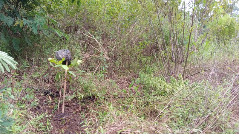 Gambar Monitoring