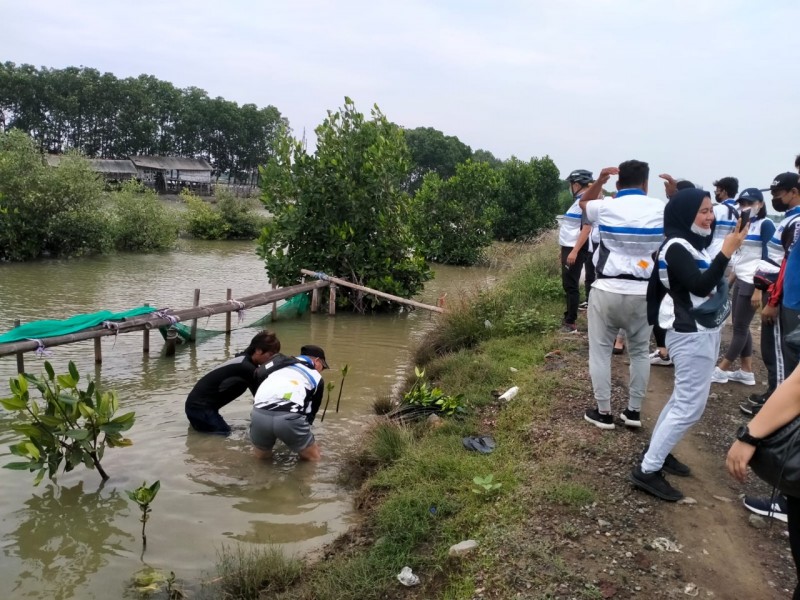 Gambar Monitoring