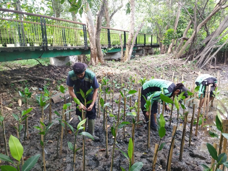 Gambar Monitoring
