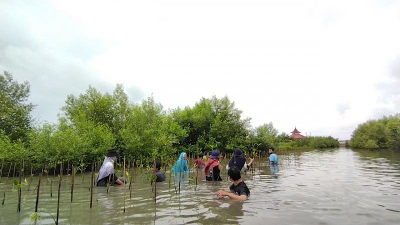 Gambar Monitoring
